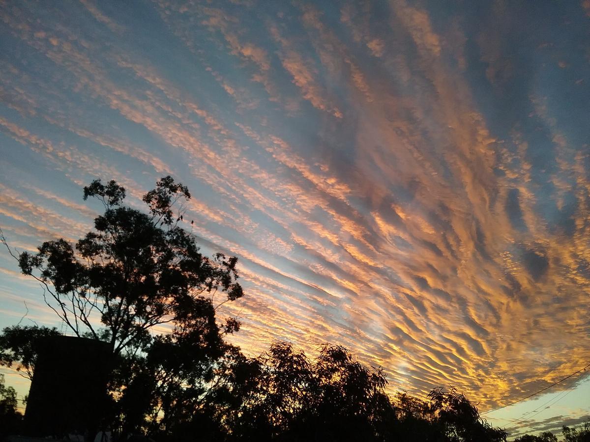 Sonja'S Bed And Breakfast Lightning Ridge Bagian luar foto
